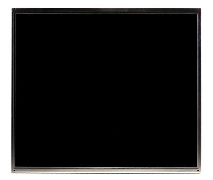 AU Optronics M170EN05