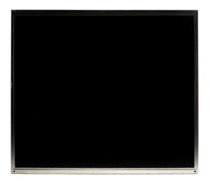 AU Optronics M170EN06 V.1