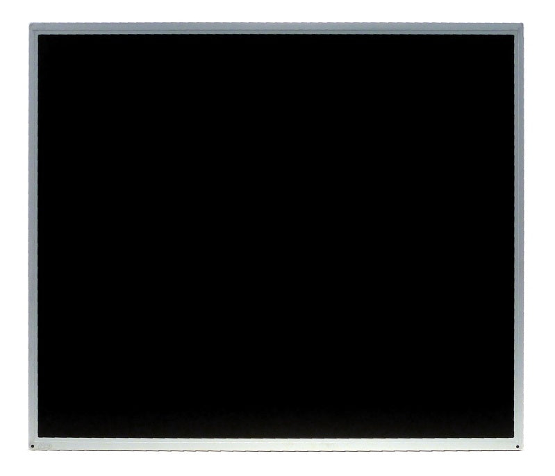 AU Optronics M190EG02 V.4